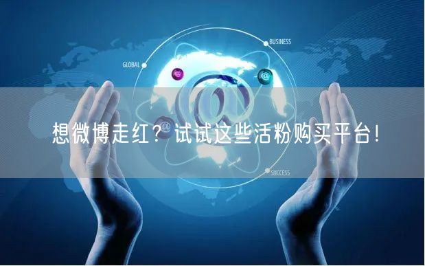 想微博走红？试试这些活粉购买平台！