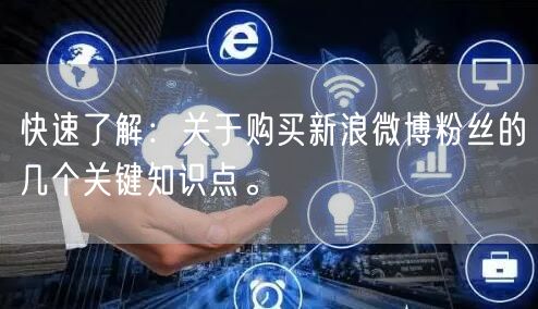 快速了解：关于购买新浪微博粉丝的几个关键知识点。