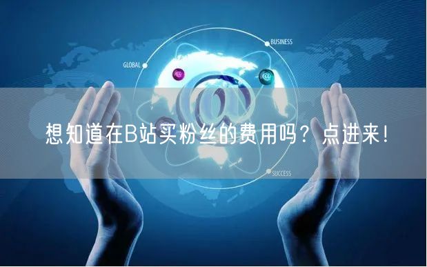 想知道在B站买粉丝的费用吗？点进来！