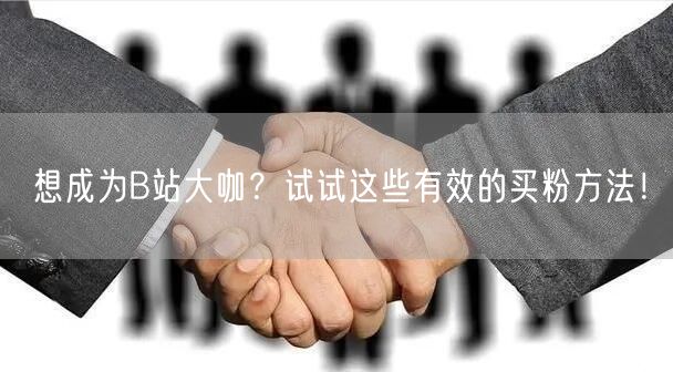想成为B站大咖？试试这些有效的买粉方法！