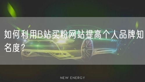 如何利用B站买粉网站提高个人品牌知名度？