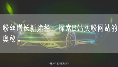 粉丝增长新途径：探索B站买粉网站的奥秘。