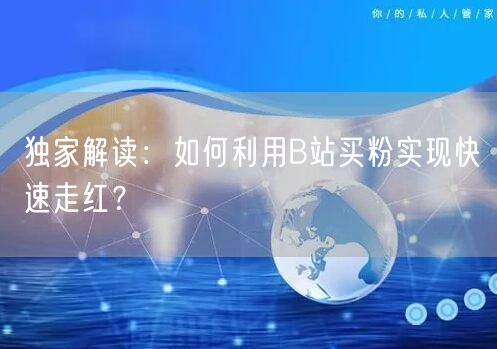 独家解读：如何利用B站买粉实现快速走红？