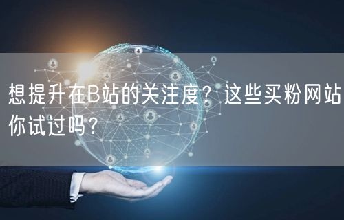 想提升在B站的关注度？这些买粉网站你试过吗？