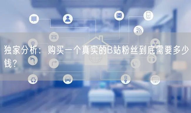 独家分析：购买一个真实的B站粉丝到底需要多少钱？