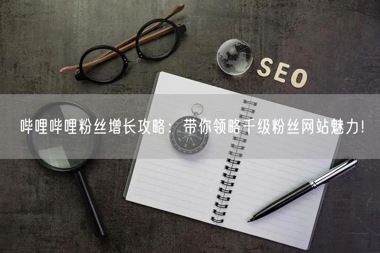 哔哩哔哩粉丝增长攻略：带你领略千级粉丝网站魅力！