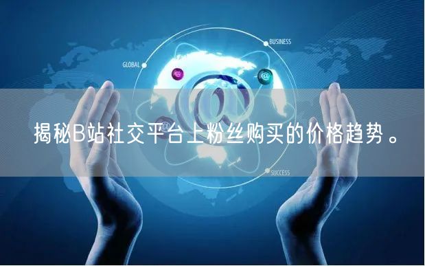 揭秘B站社交平台上粉丝购买的价格趋势。