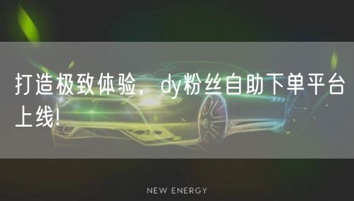 打造极致体验，dy粉丝自助下单平台上线!