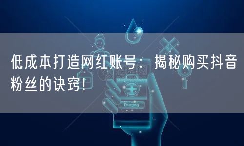 低成本打造网红账号：揭秘购买抖音粉丝的诀窍！