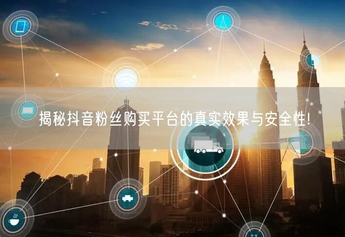 揭秘抖音粉丝购买平台的真实效果与安全性!