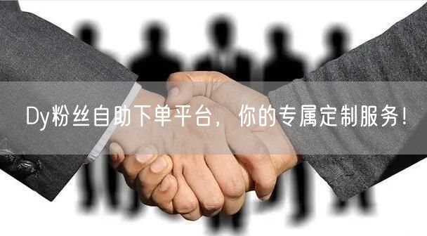 Dy粉丝自助下单平台，你的专属定制服务！