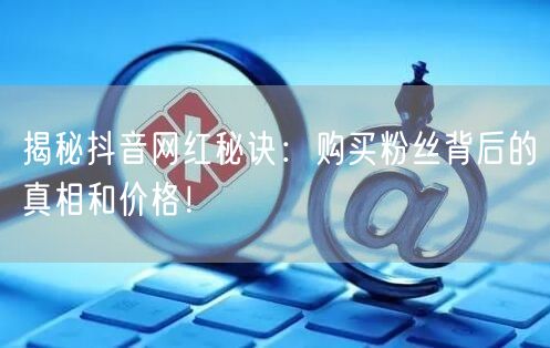 揭秘抖音网红秘诀：购买粉丝背后的真相和价格！