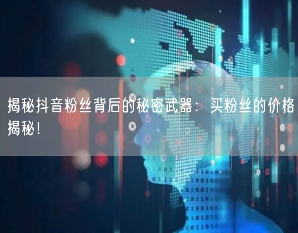 揭秘抖音粉丝背后的秘密武器：买粉丝的价格揭秘！